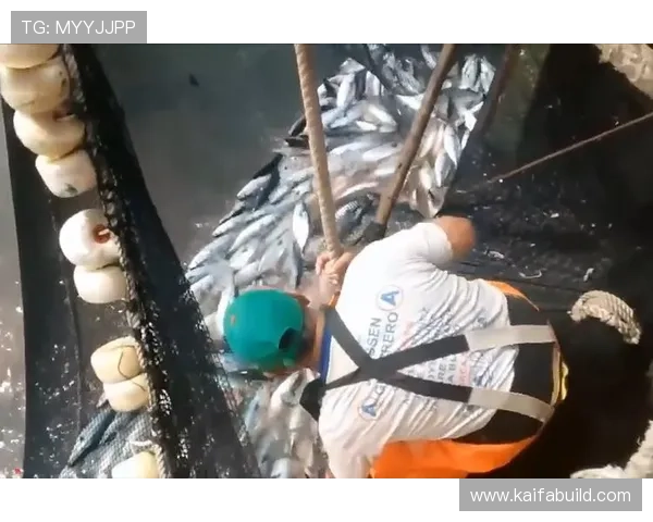 如何利用K8捕鱼的特殊道具提升捕鱼效率 如何利用K8捕鱼的特殊道具提升捕鱼效率